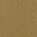 Mohawk Modern Always Curry Powder