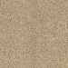 Mohawk Churchill Crisp Khaki