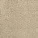 Mohawk Elegantly Soft Gleaming Tan