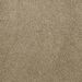 Mohawk Elegantly Soft Desert Scape
