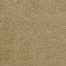 Mohawk Elegantly Soft Camille Cream