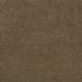 Mohawk Elegantly Soft Tobacco Road