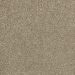 Mohawk Modern Vision Rich Maple
