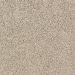 Mohawk Sassy Chic Tomorrow's Taupe
