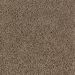 Mohawk Sassy Chic Birdseye Maple Collection