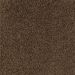 Mohawk Sassy Chic Burma Teak