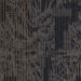 Mohawk Transforming Spaces Designing Point Collection