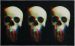 Mohawk Prismatic Digital Skulls Black 2'6" x 4'2" Collection