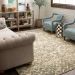 Karastan Rugs Touchstone Le Jardin Willow Grey Room Scene