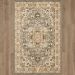 Karastan Rugs Euphoria Rhodes Ash Grey Room Scene