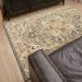 Karastan Rugs Euphoria Rhodes Ash Grey Room Scene