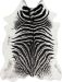 Erin Gates Acadia Aca-1 Zebra Black 5'3" x 7'10"