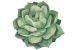 Novogratz Cucina Cna11 Succulent Green 3'0" x 3'0" Round Collection