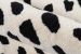 Novogratz Delmar Del11 Boho Dots Ivory Room Scene