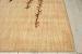 Nourison Home Radiant Impression Beige 2'3" x 8' Runner Room Scene
