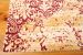 Nourison Home Rhapsody Gold/Garnet 7'9" x 9'9" Room Scene