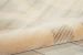 Nourison Home Luminance Cream/Grey 7'6" x 10'6" Room Scene