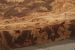Nourison Home Heritage Hall Sable 8' x Freeform Free Form Room Scene