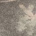 Nourison Home Tranquil Grey/Pink 5'3