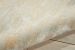 Nourison Home Luminance Sea Mist 3'5" x 5'5" Room Scene