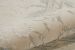 Nourison Home Opaline Beige 8'6" x 11'6" Room Scene