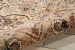 Nourison Home Antiquities Ivory 3'9" x 5'9" Room Scene