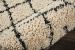 Nourison Home Moroccan Shag Cream 3'11" x 6'7" Room Scene