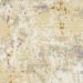 Nourison Home Grafix Beige Blue 5'3" x 7'3" Collection