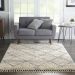 Nourison Home Oslo Shag Ivory/Grey Room Scene