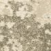 Oriental Weavers Carson 734d Beige Room Scene