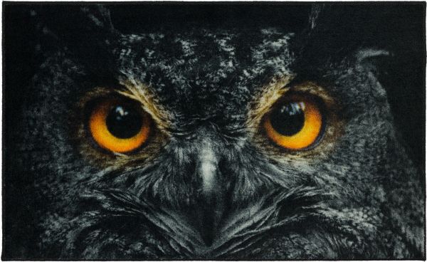 Mohawk Prismatic Owl Face Black Collection