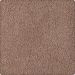 Karastan Smartstrand Silk Soft Eloquence Abloom