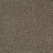 Stamped Concrete