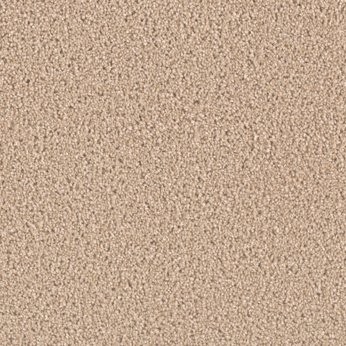 Carpet | DREAM WEAVER EXCEPTIONAL II CASHMERE | Flooring Liquidators