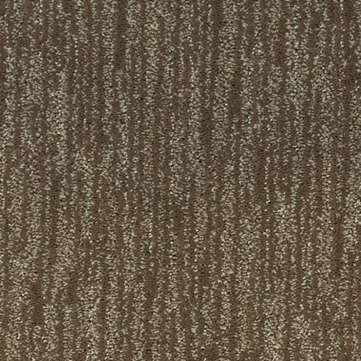 Shaw Wide Width Statuette I 12-ft- Pinecone Pinecone Textured Carpet Sample (Interior) Shaw Wide Width Statuette I 12-ft- Pinecone Pinecone Textured Carpet Sample (Interior)