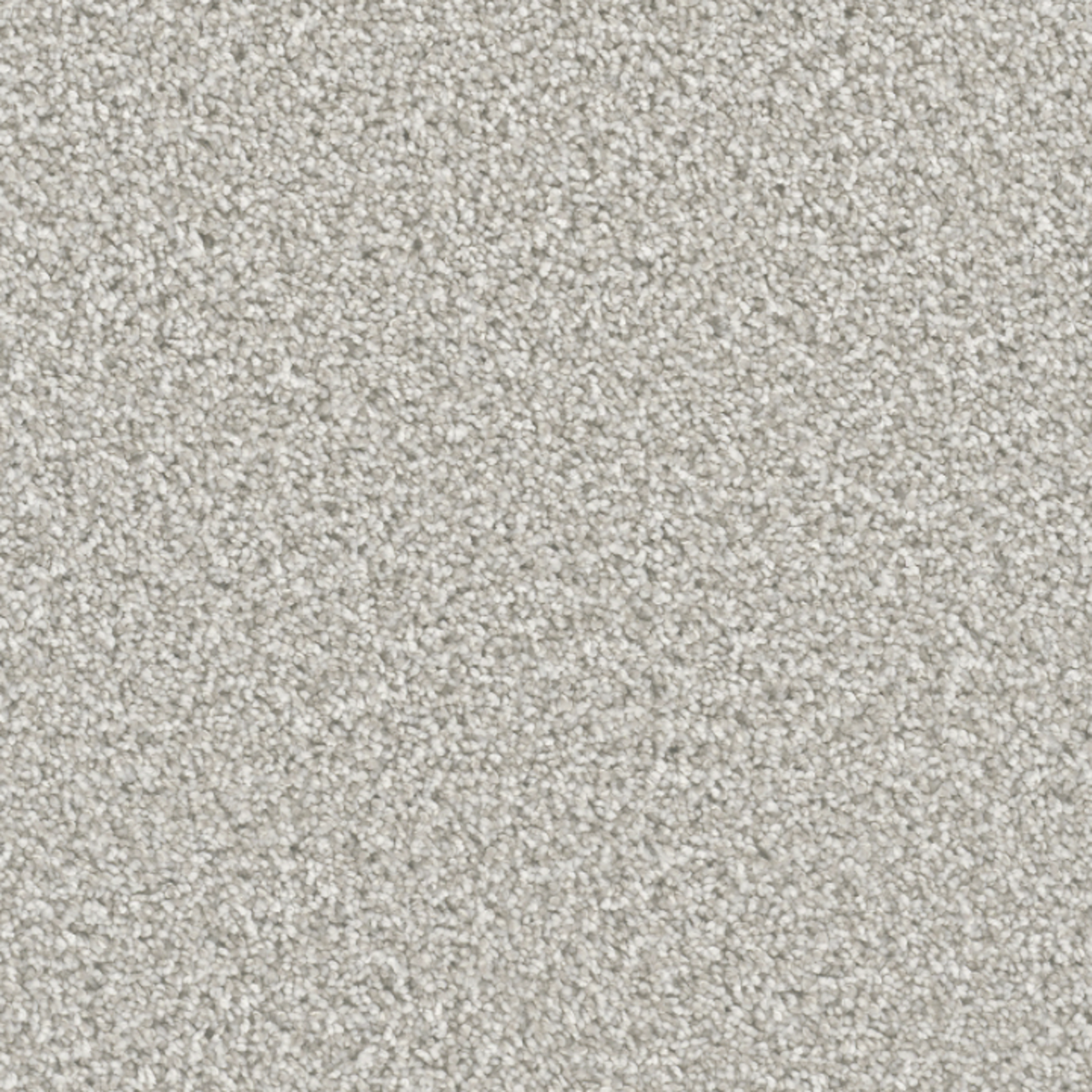 Carpet | DREAM WEAVER DAZZLING PORCELAIN | Flooring Liquidators