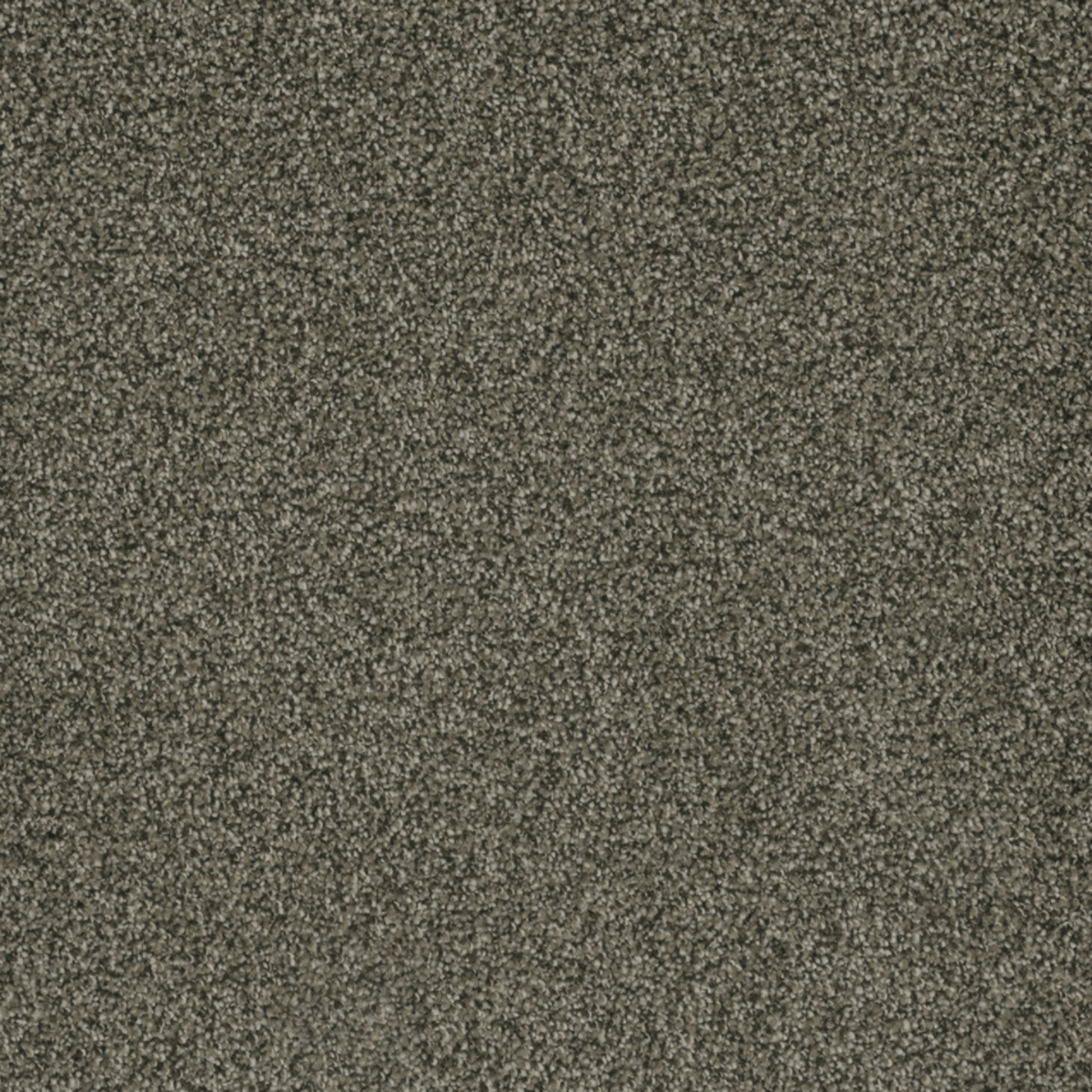 ペギラ　ベムラー Carpet | DREAM WEAVER BRAZEN II BRANDYWINE | Flooring Liquidators