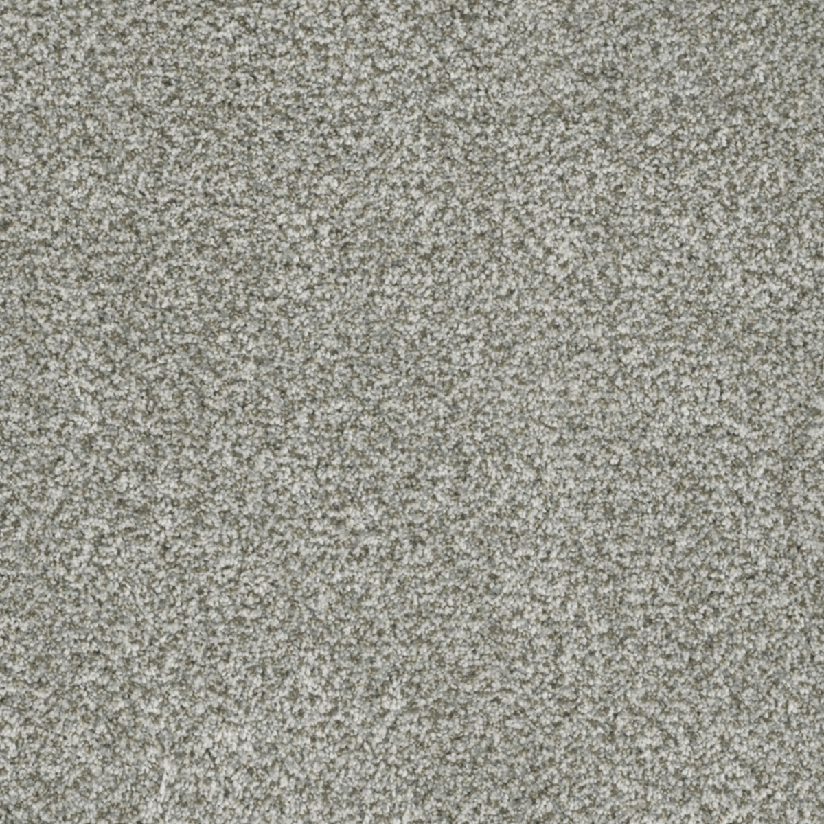 Carpet | DREAM WEAVER BRAZEN II PURITY | Flooring Liquidators