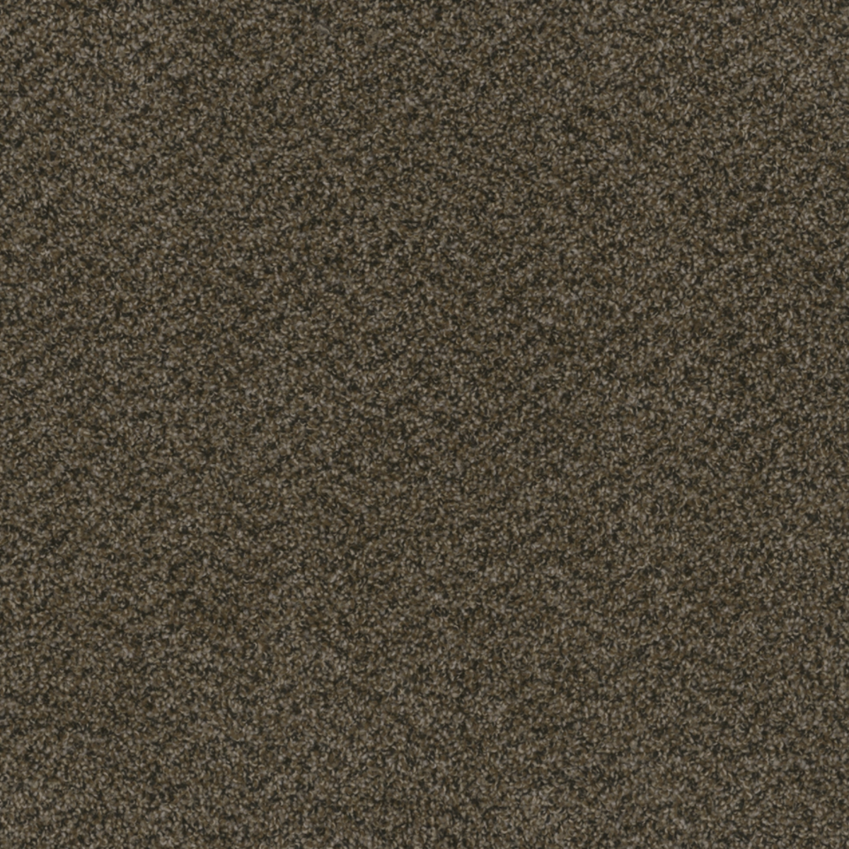 Carpet | Dream Weaver Hot Pursuit Rustic Charm | Flooring