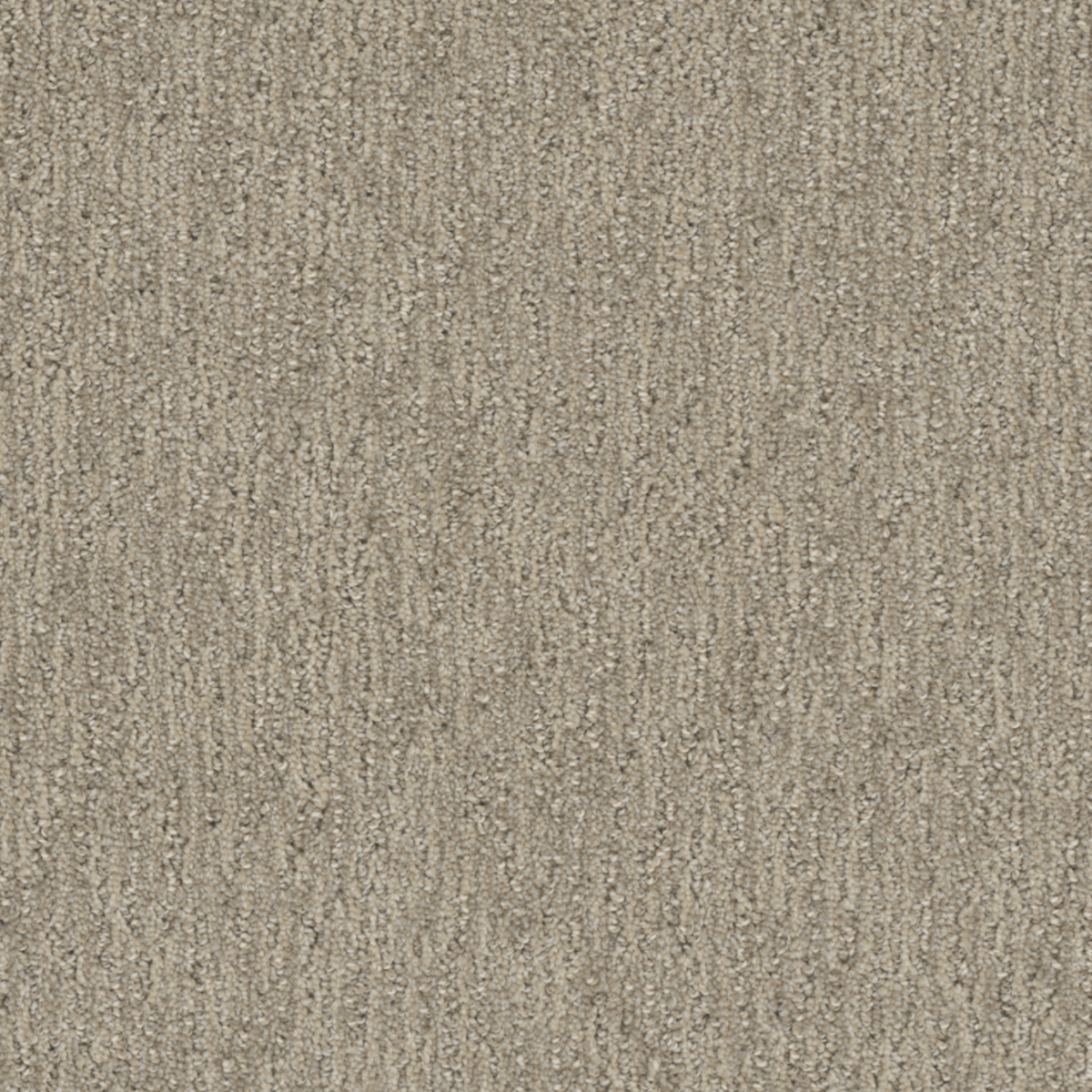 Carpet | DREAM WEAVER FINISHING TOUCH DULCE | Flooring Liquidators