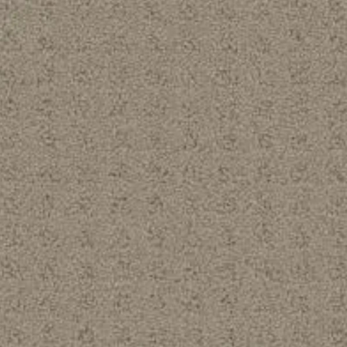Carpet | PHENIX DEBUT LAUNCH | Flooring Liquidators