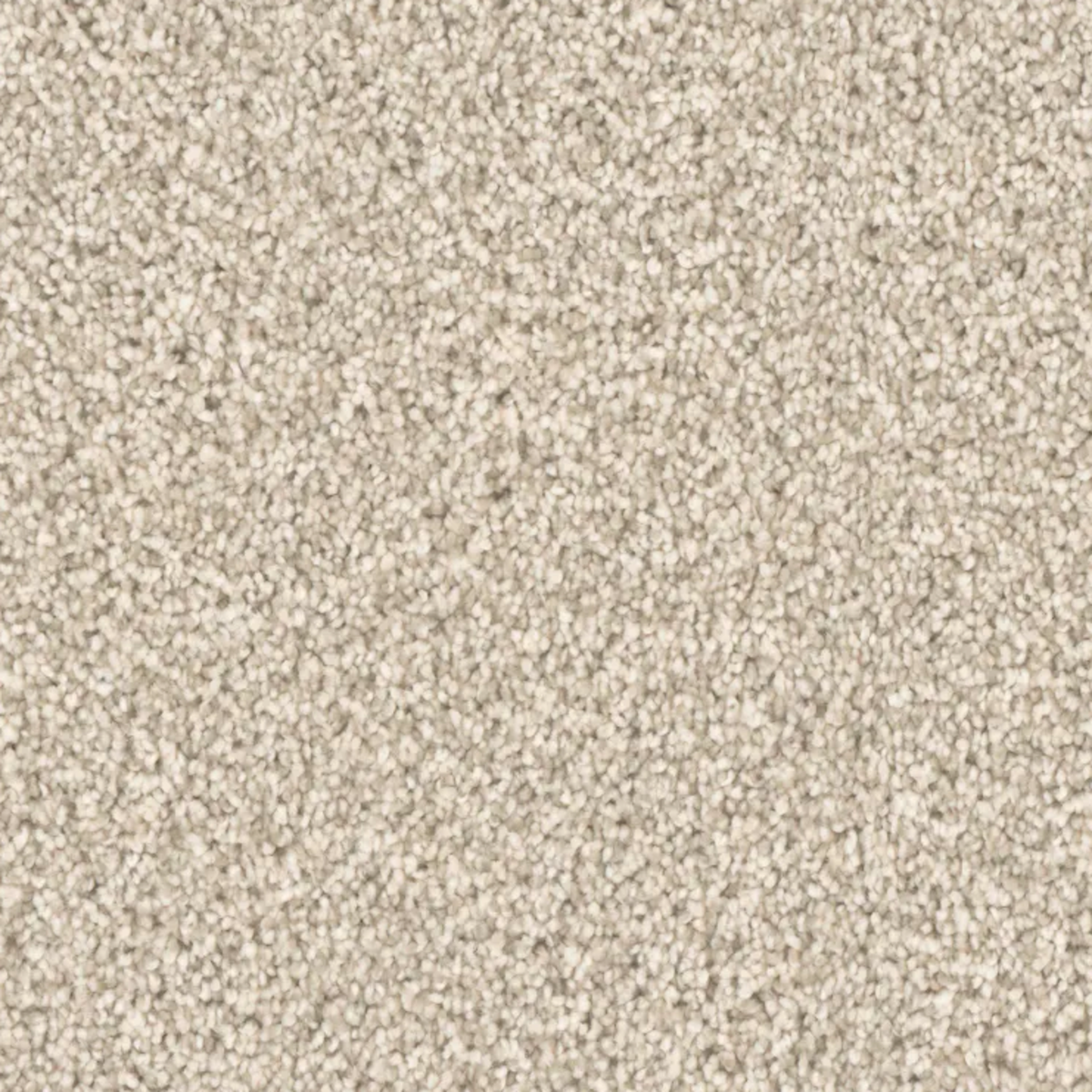 Carpet | PHENIX TOP NOTCH CHAMPION | Flooring Liquidators