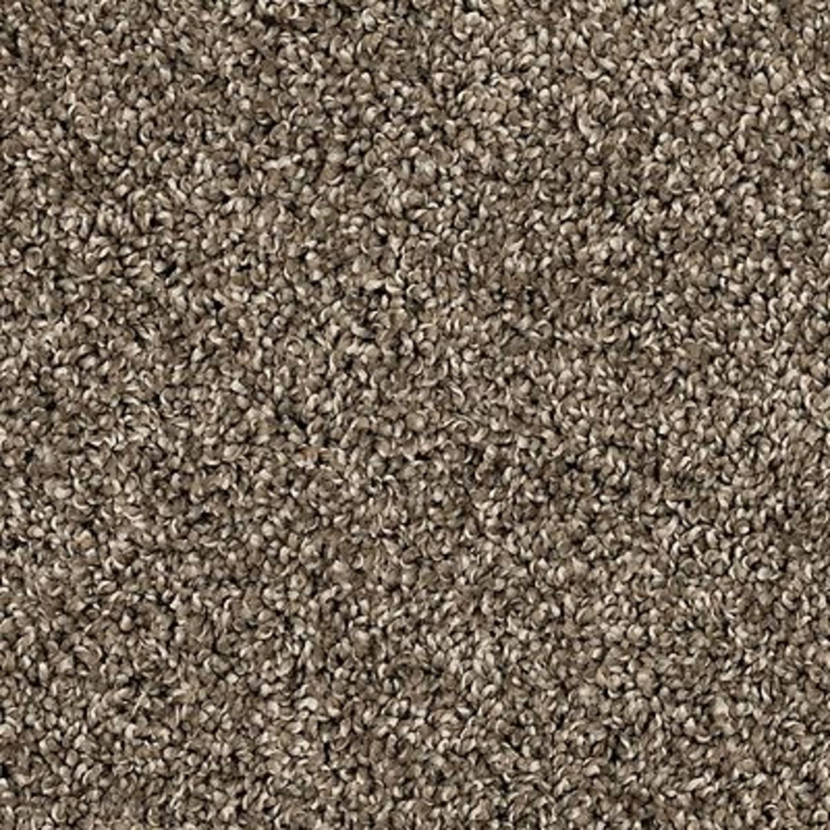 Carpet | MOHAWK PURRSONALITY II MATTE | Flooring Liquidators