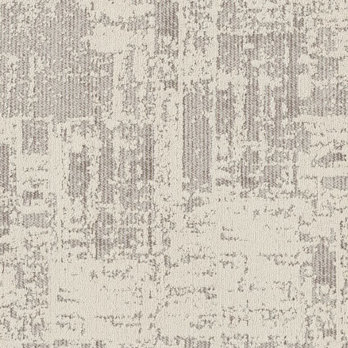 Discover CANVAS