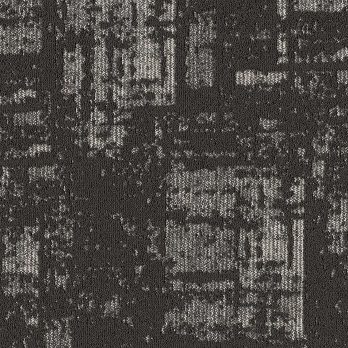 Discover CHARCOALS