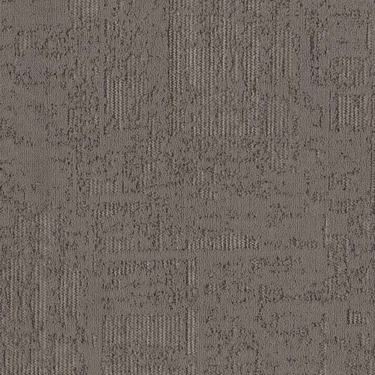 Discover WALNUT