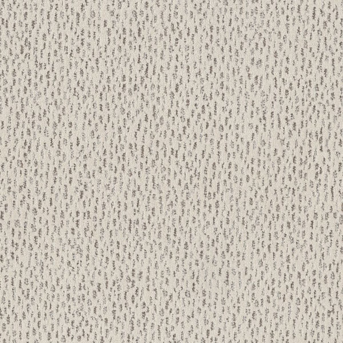 Ambitious CANVAS