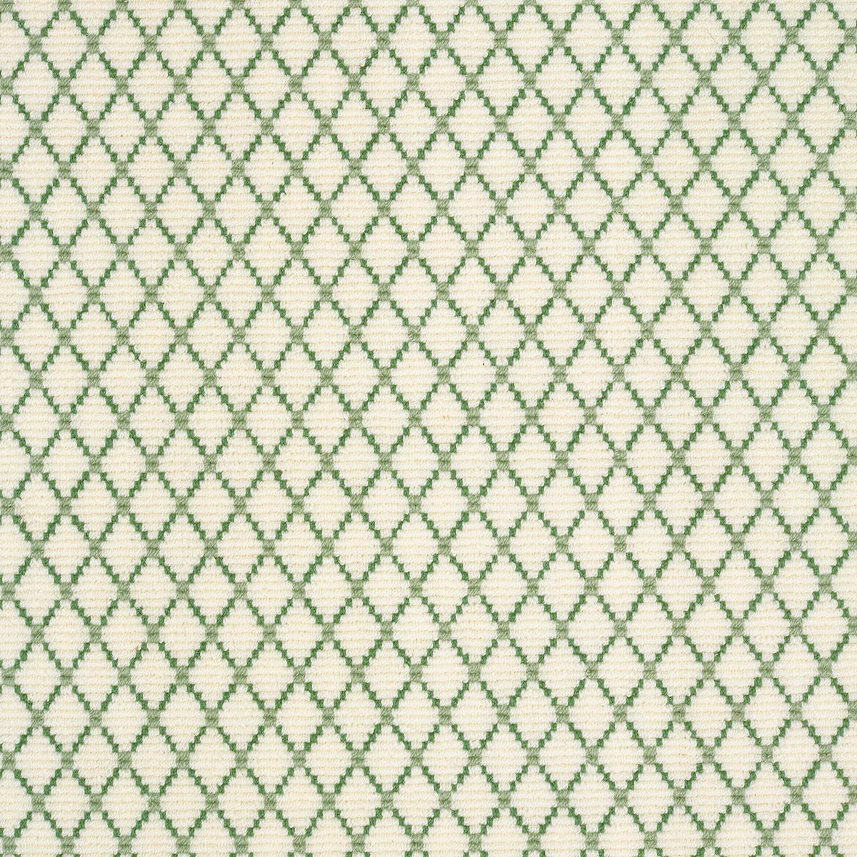 Ardmore Evergreen on White