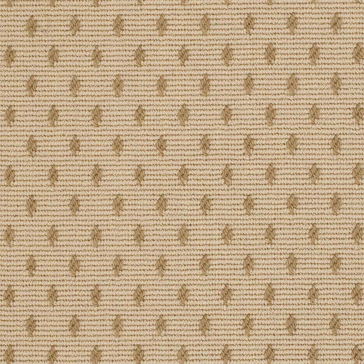 French Knot Desert Sand