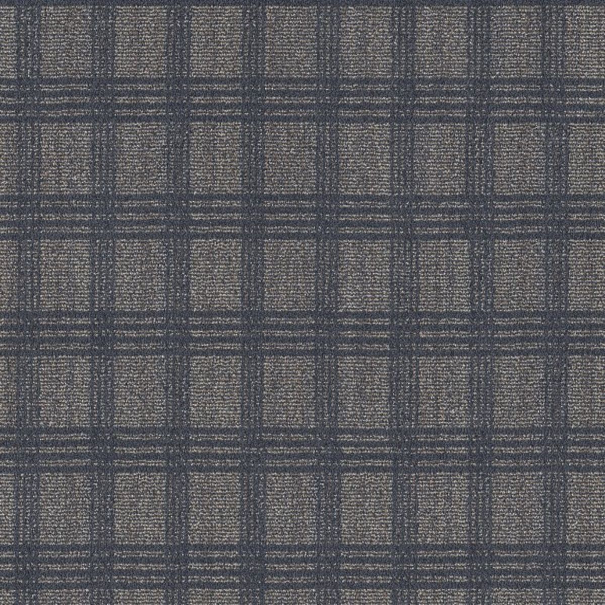 Collab MOODY BLUE